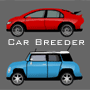Fantasy Car Designer